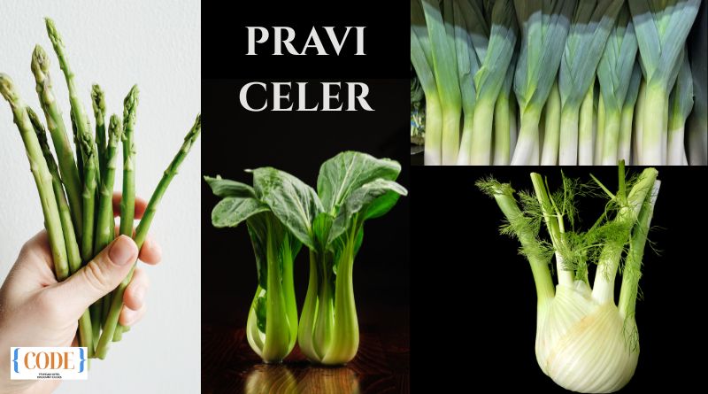 Pravi Celer